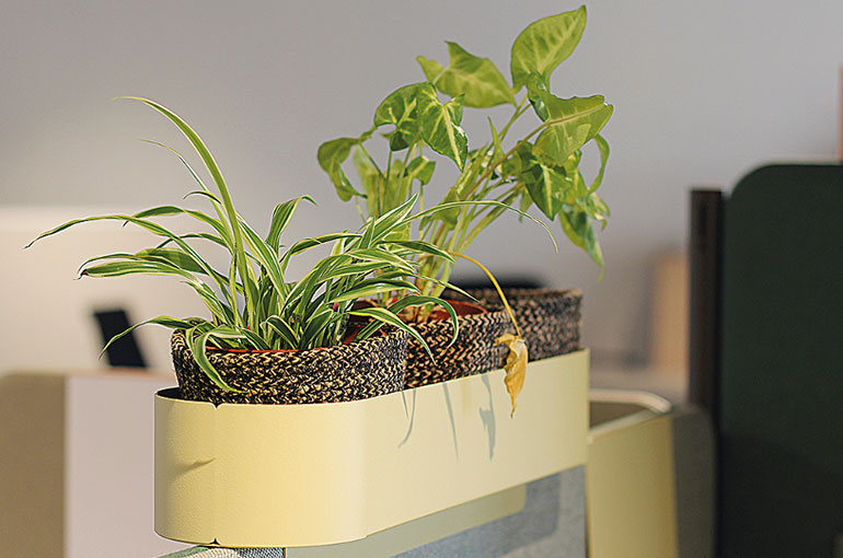 accesoire acoustique bureau